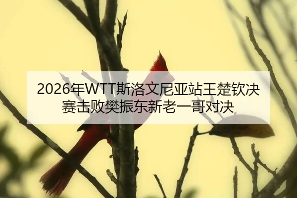 nian-si-luo-wen-ni-ya-zhan-wang-chu-qin-jue-sai-ji-bai-fan-zhen-dong-xin-lao-yi-ge-dui-jue-2-682.jpg